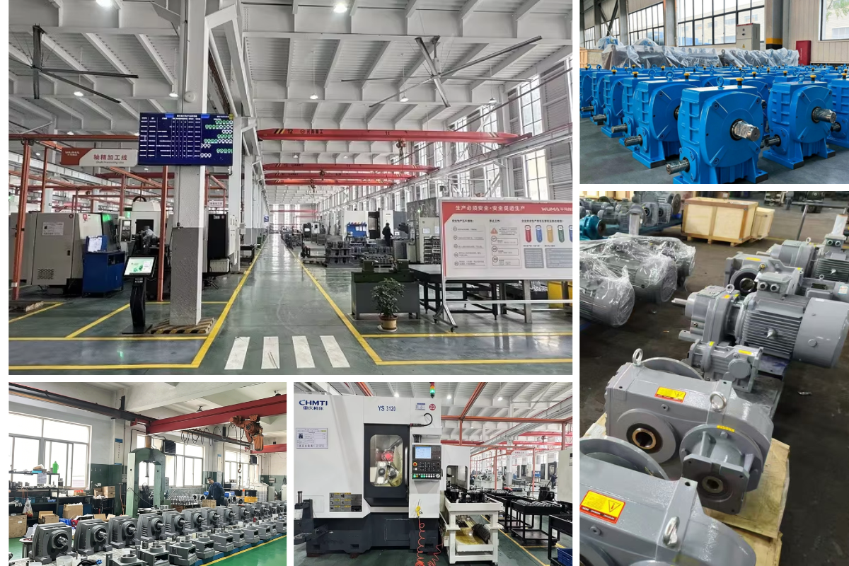 Worm Gear Reducer Manufacturer – China Factory Direct